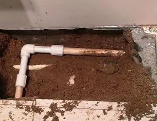 邵阳测漏水哪家好