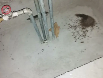 邵阳卫生间测漏水价格明细